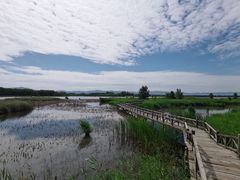 -野鸭湖国家湿地公园