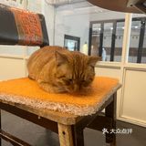 咖啡馆的惬意