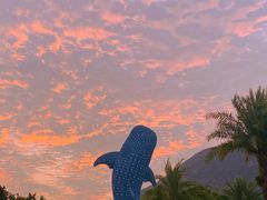 -珠海长隆海洋王国
