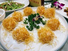 -丁老爷子苏香圆