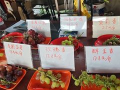 -马陆小张葡萄园农家乐