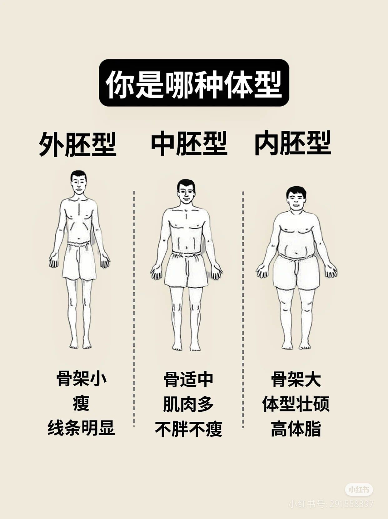 你是哪种体型呢