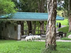 -福建鲤鱼洲酒店