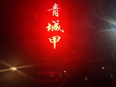 -青城甲(青城山店)