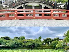 -鹤冈八幡宫