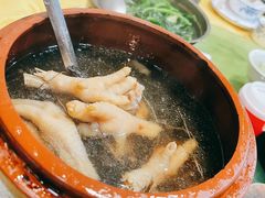 五指毛桃炖鸡爪-合力居·生记路边鸡(北京路店)