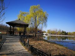 -大兴滨河森林公园