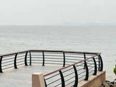 -深圳湾公园(南山区)