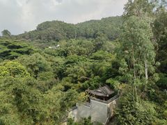 -水濂山森林公园