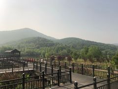 -石塘人家