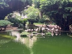 -九龙公园