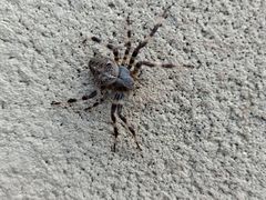 -长春公园(普阳街道)