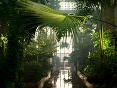 -墨尔本皇家植物园