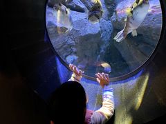 -成都浩海立方海洋公园