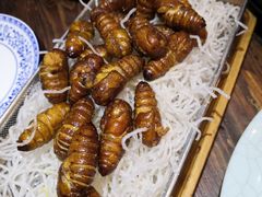 -老姑砂锅·烧烤天津菜(体北道店)
