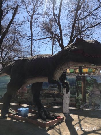 宣传了很久的恐龙乐园，可真好意思拿出来展示……女士凭