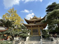 -上海东林寺(金山区)