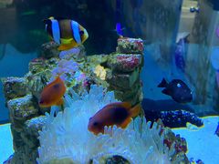 -太平洋海底世界