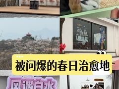 -白水寺森林公园