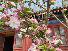 -北京古代建筑博物馆