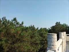 -铁山坪森林公园