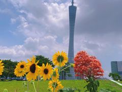-二沙岛艺术公园