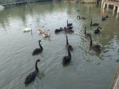 -溱湖国家湿地公园