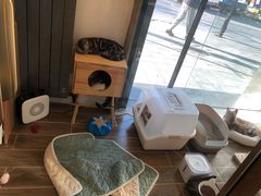 -猫大福·Fortune Cat猫舍(百子湾店)