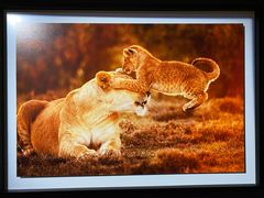 -罗红摄影艺术馆