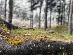 -硗碛藏寨·神木垒景区