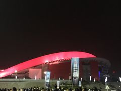 -南京奥林匹克体育中心-体育馆