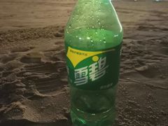 -螺州海滨公园