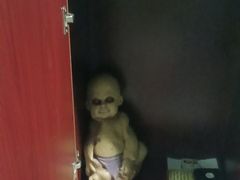 -白兔子密室(长寿路店)