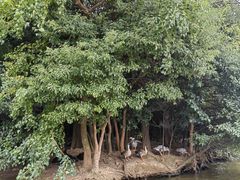 -艾溪湖湿地公园