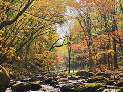 -本溪老边沟风景区