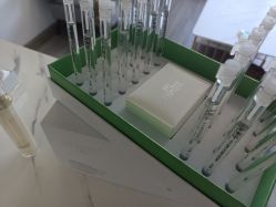 -凡碧诗毛孔收细