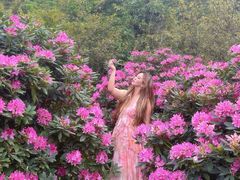 -名花谷生态庄园