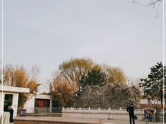 -燕郊植物园