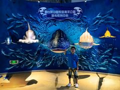 -烟台海昌鲸鲨海洋公园