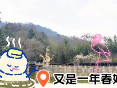 -龙泉寺旅游区