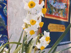 -西安市广仁寺