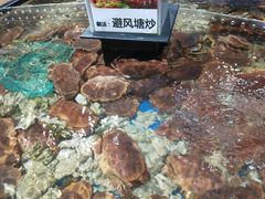 -盒马鲜生(皇庭广场店)
