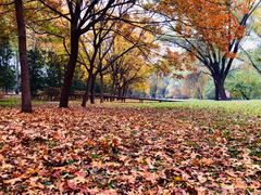 景点-南海子公园