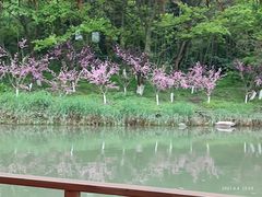 -常德桃花源景区