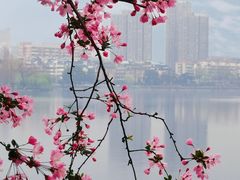-莫愁湖公园