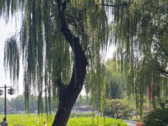 -郭守敬纪念馆