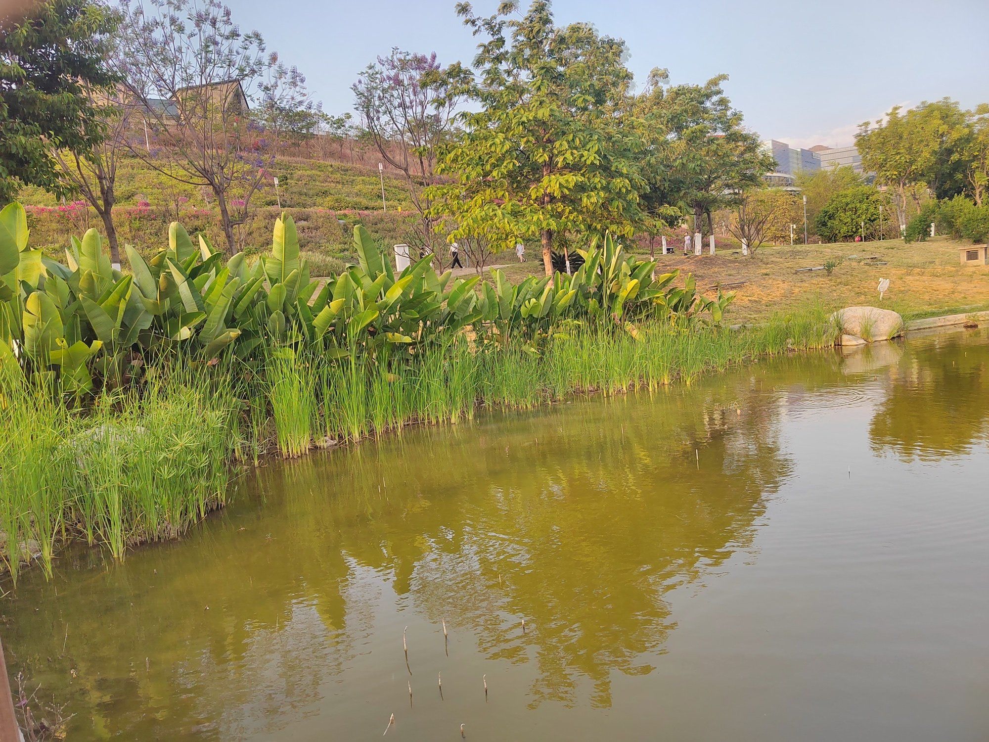 9494【超美的攀枝花天星湖】