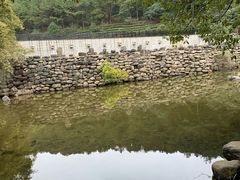 -九龙潭景区