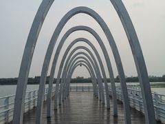 -大兴滨河森林公园