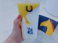 -春丽小马(济南恒隆广场店)